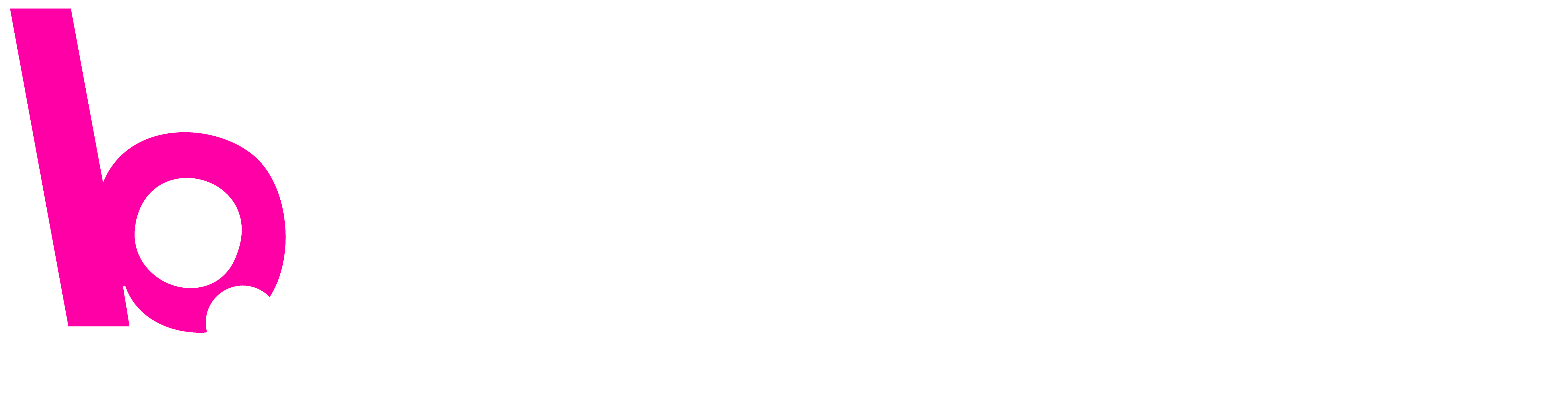 Bagbase